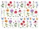 Montagem Flowers and Insects Linha Porce