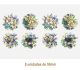 D_Spring_50mmx8un.jpg