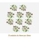 D_Garden_G_46x40mmx10_A.JPG