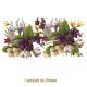Spring-Narcissus-200mmx1un.jpg