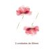Watercolour-red-flower-80mm.jpg
