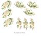 Mistflower-CUps-110mmx9un.jpg