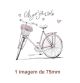 Pink-Bike-75mm.jpg