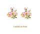 D_Wild-Rose-45mmx2un.jpg