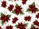 TAPETE - POINSETIALARGE1.jpg