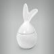 Coelho-Porcelana-06a.jpg
