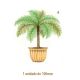 Palmera-d-100mmx1un.jpg