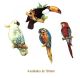 Exotic Birds - 130mm 1