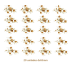 D_Little_Yellow_Rose_65mmx21un_A.jpg