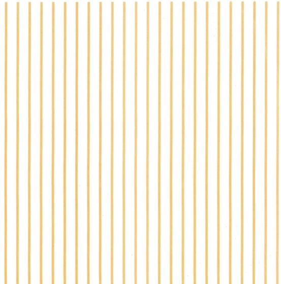 Filete Ocre Claro - Porcelana 1