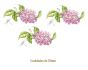 D_Lilac_Branch_70mmx3un_A.jpg