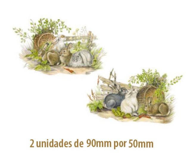 Coelho C - 90x50mm 1