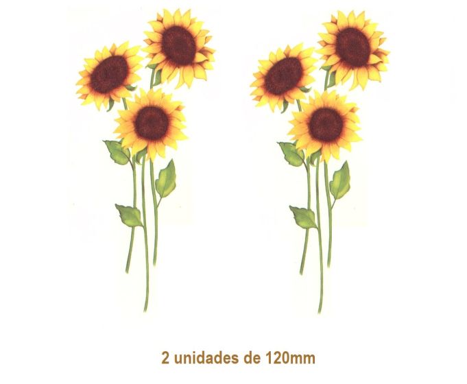 Girassol - 120mm 1