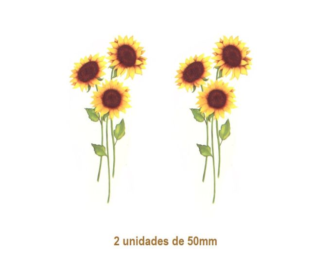 Girassol - 50mm 1
