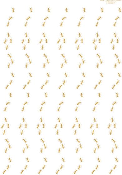 Ouro para Vidro - Formigas 01 1