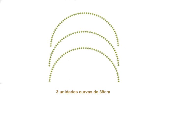 Flowers of the Year - Curva de 39cm 1