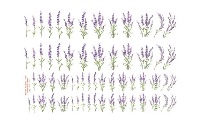 Lavanda - Vidro 1