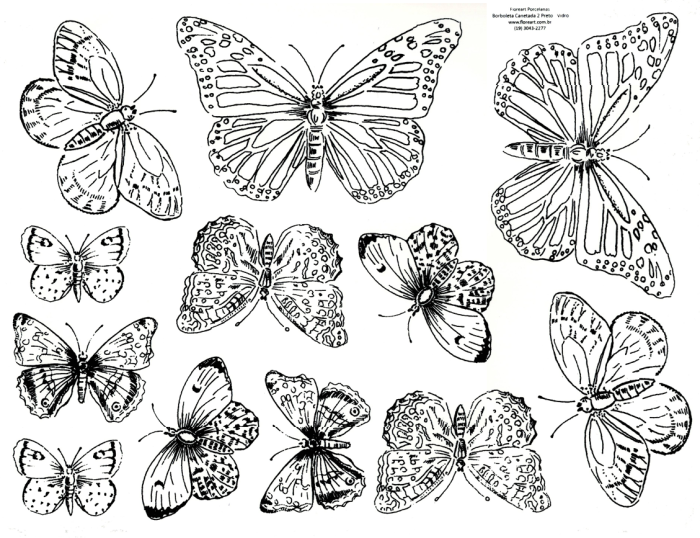 Decalque Contorno Borboleta Canetada 2 Preta - VIDRO 1