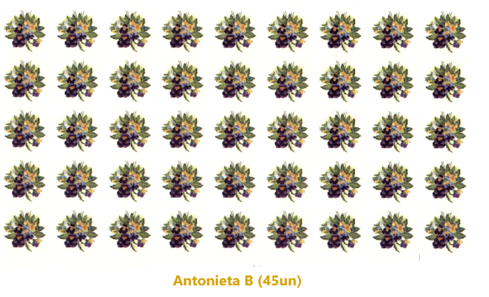 Antonieta B - 20x20mm (45un) 1