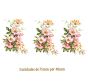 D_Wild-Rose-75x40x3un.jpg
