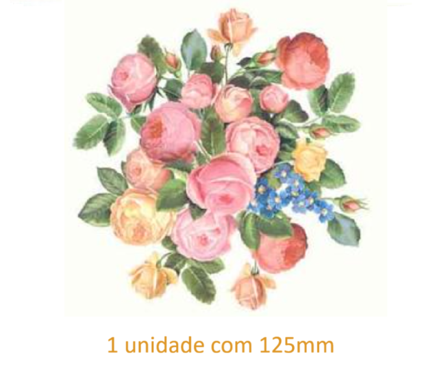 Rosa Versailles - 125mm 1