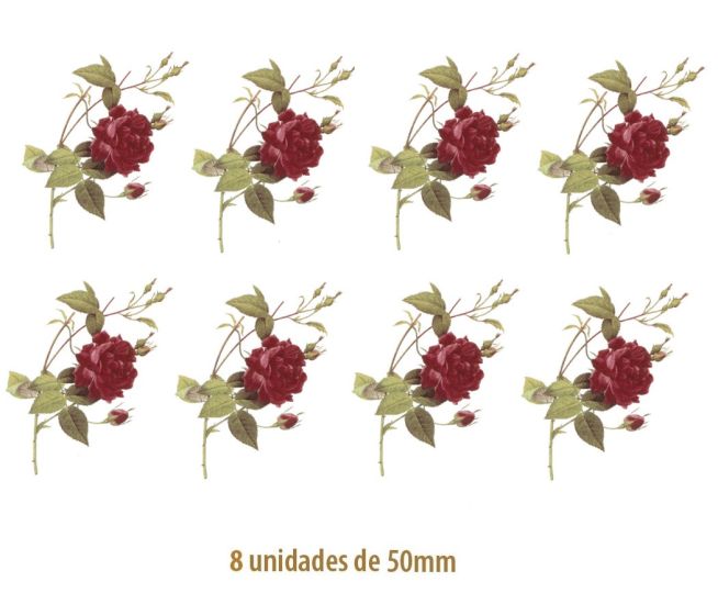 Rosa Gallica - 50mm 1