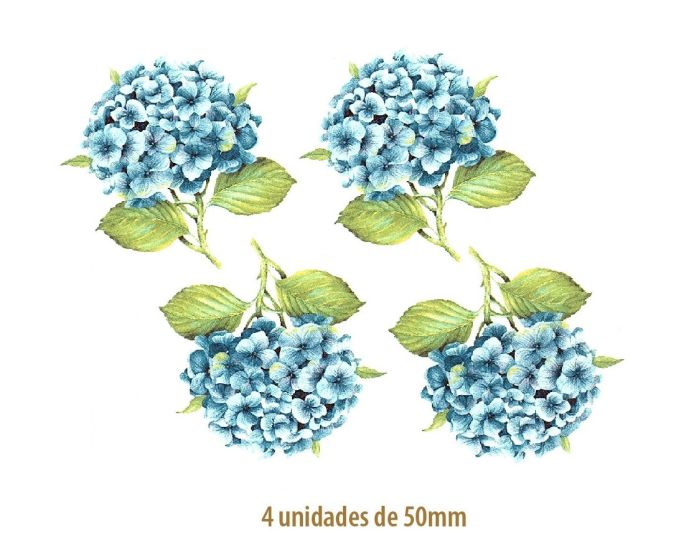 Hortensia Azul - 50mm 1