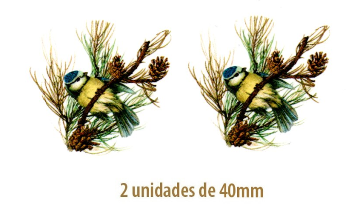 Chapim Real - 40mm.png