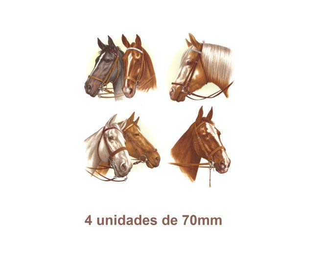 Horse-70mm.jpg