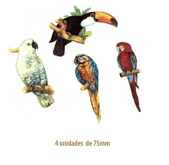 Exotic Birds - 75mm 1