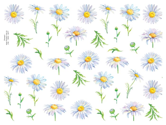 Margarida Daisy - Vidro 1