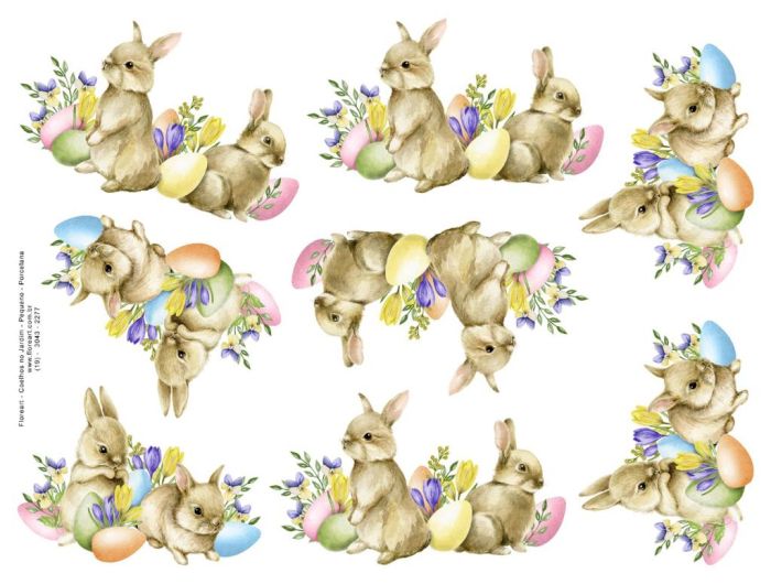 Coelhos no Jardim - Pequeno 1