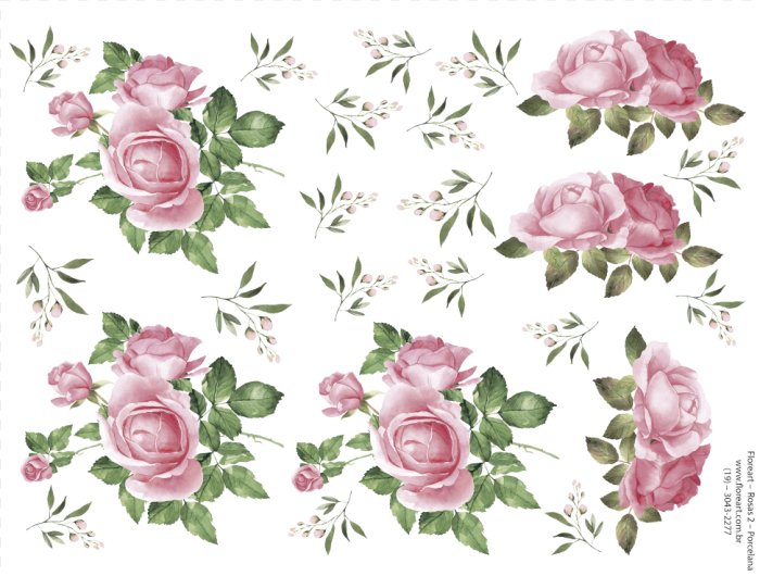 Rosas 02.png
