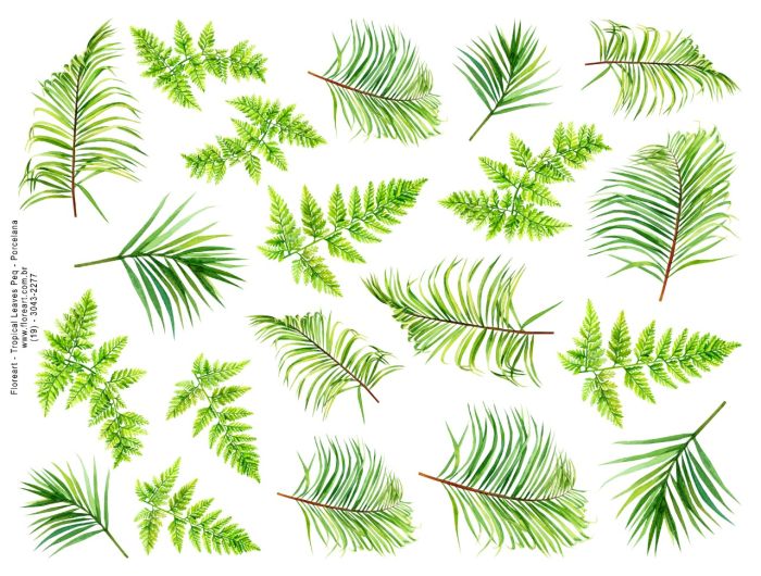 Leaves.jpeg