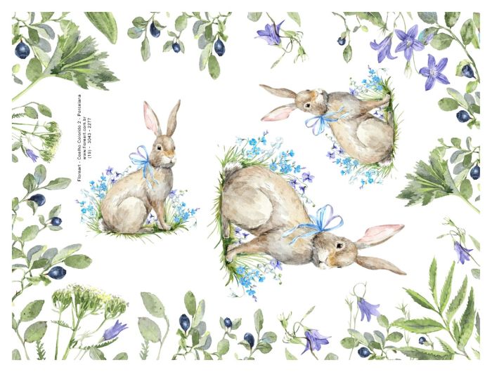 Coelho Colorido 02.jpeg