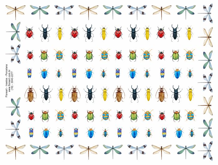 Insects - Porcelana 1