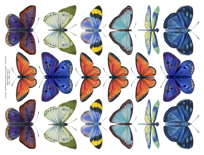 Borboletas Coloridas Grandes - Porcelana 1