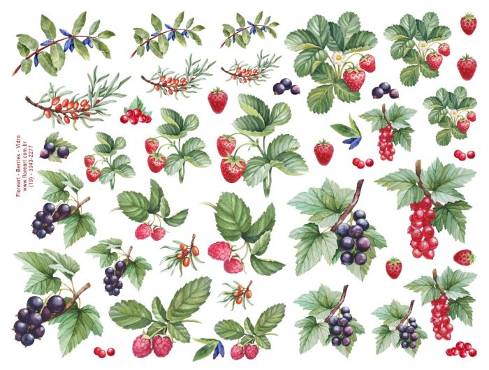 Berries - Colorido para Vidro 1