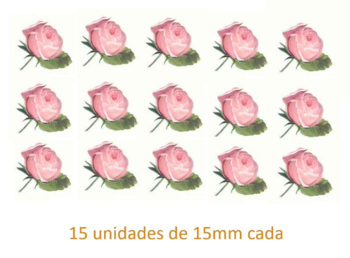 Rosa Versailles - 15mm 1