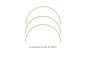 Flowers of the Year - Curva de 39cm 1