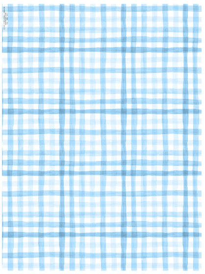 Plaid - Light Blue 1