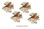 PAJARO-C-40mmx4un.jpg