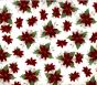 TAPETE - POINSETIALARGE.jpg
