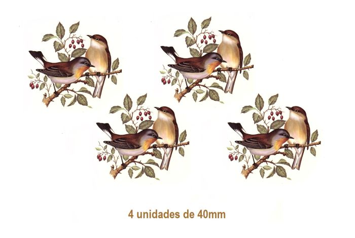PAJARO-A-40mmx4un.jpg