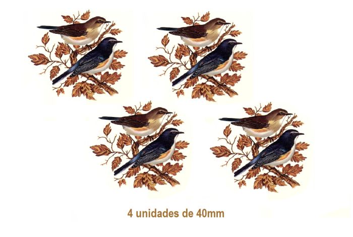 PAJARO-B-40mmx4un.jpg