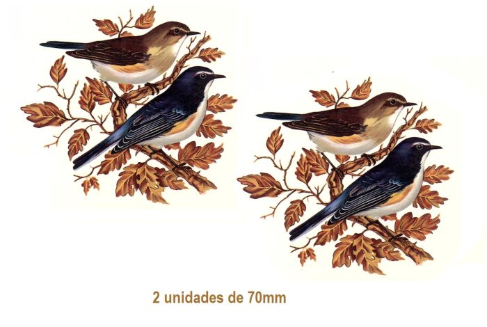 PAJARO-B-70mmx2un.jpg