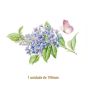 D_BlueBranch-190mm.jpg
