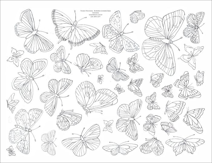 Decalque Contorno Borboleta Canetada Sépia 1