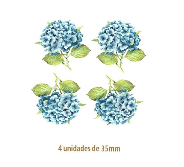 Hortensia Azul - 35mm 1
