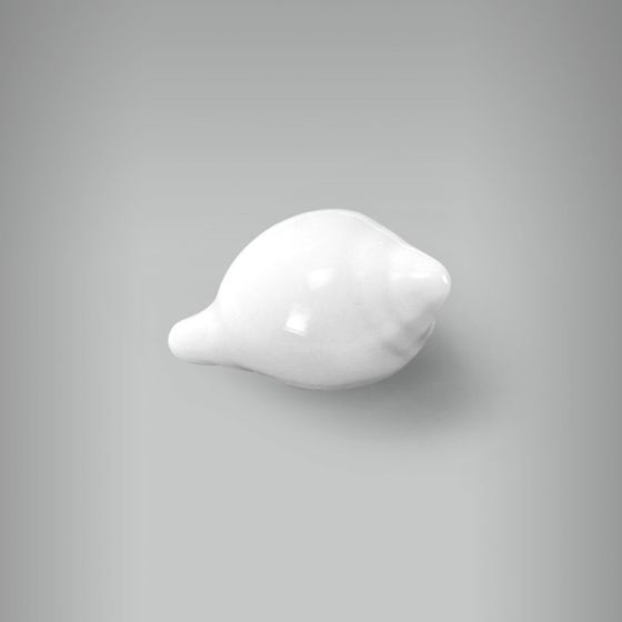 Aplique Concha - G 1